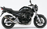 Exhaust Tip With Noise Certification Deeptone Stainless Steel - Gpr Compatible With Suzuki Gsf 650 Bandit - S (2005-2006)