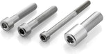 Proguard System Sport Right - Rizoma Compatible With Bmw C 600 Sport (2012-2015)