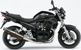Exhaust Tip With Noise Certification Trioval Stainless Steel - Gpr Compatible With Suzuki Gsf 650 Bandit - S (2005-2006)