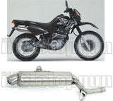 Exhaust Tip Without Sound Certification Paris Dacar Stainless Steel Stainless Steel - Arrow Special Parts Compatible With Yamaha Xt 600 E (1995-2001)