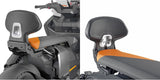Backrestit - Givi Compatible With Bmw Ce 04 (2022-2024)