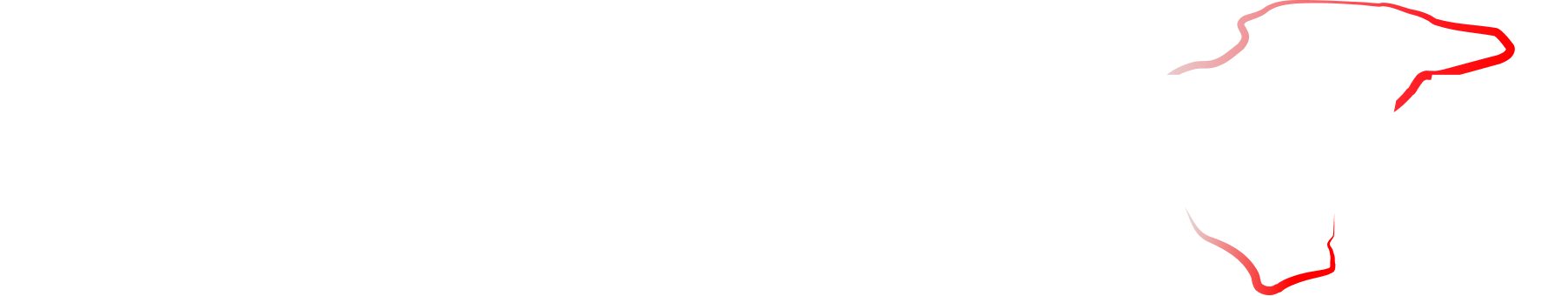 MOTOTOPGUN